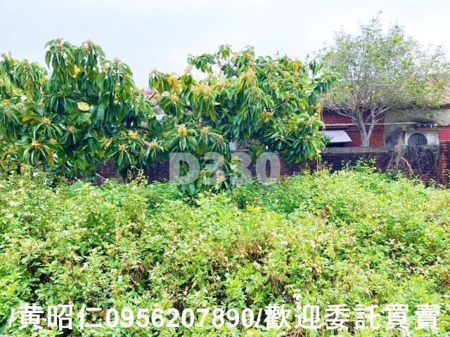 台南佳里建地-6