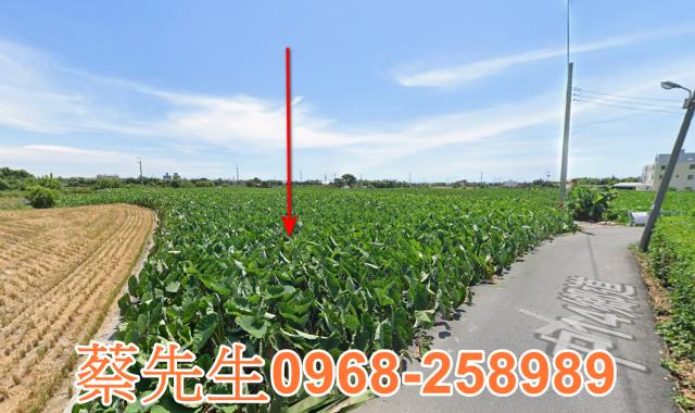大甲法拍農地-12