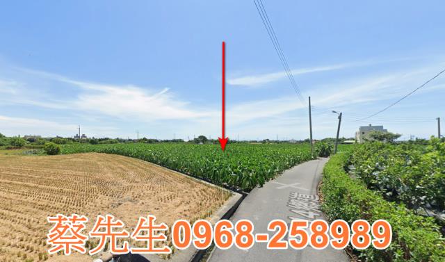 大甲法拍農地-5