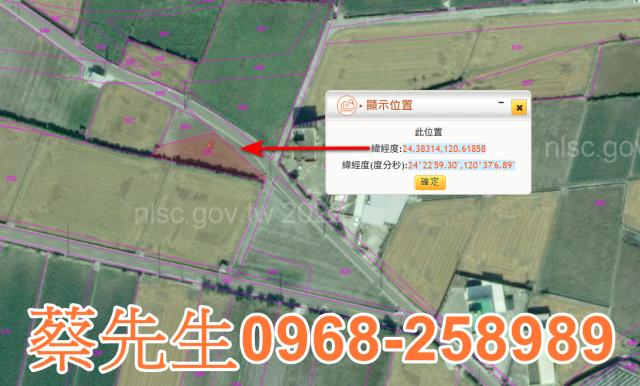 大安區農地法拍-3