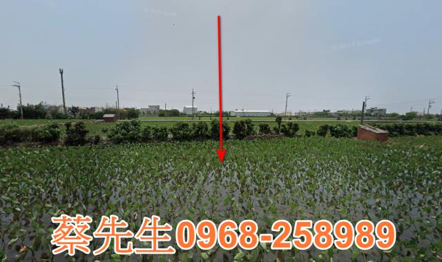 大安區農地法拍-9