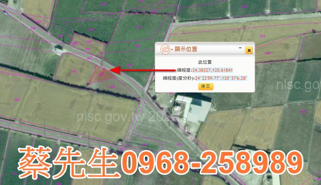 大安區農地法拍-11