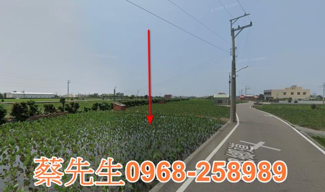 大安區農地法拍-4