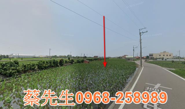 大安區農地法拍-5