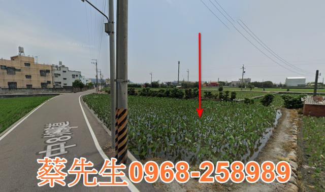 大安區農地法拍-6