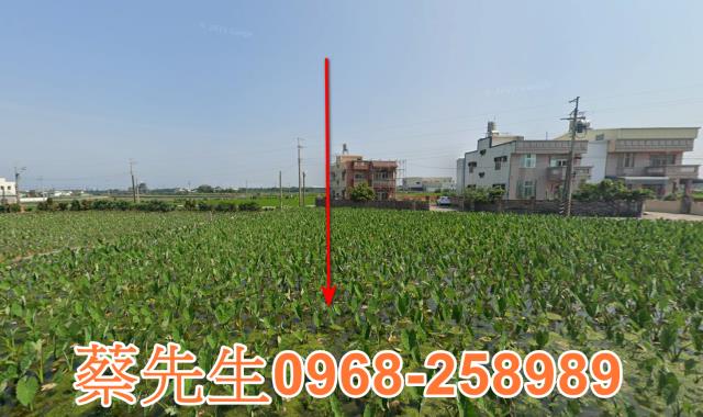 大安區拍賣農地-9