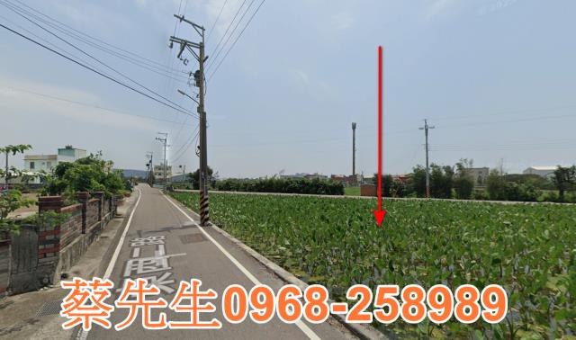 大安區法拍農地-6