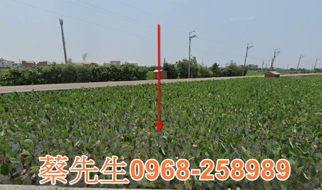 大安區法拍農地-9