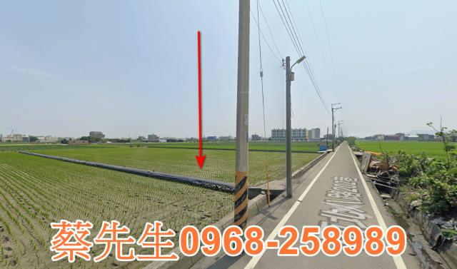 大安區法拍農地-5