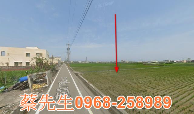 大安區法拍農地-6