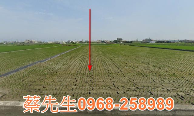 大安區法拍農地-9