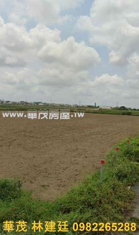 鹽水農地法拍-5