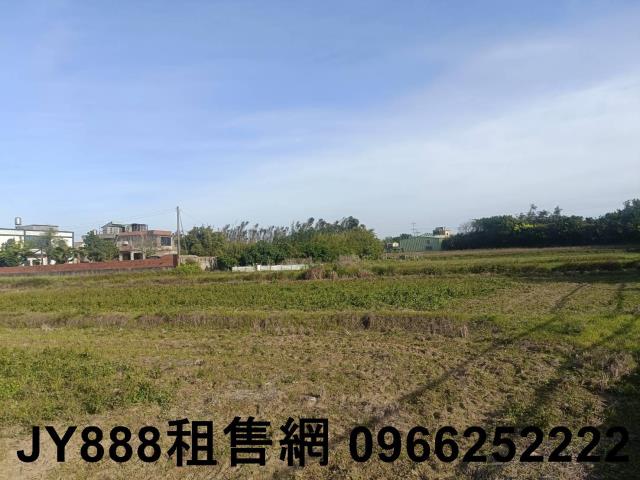 新屋農地-2