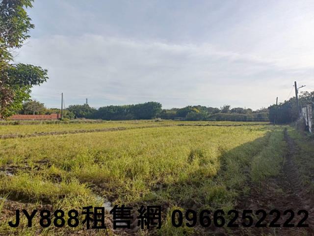 新屋農地-3