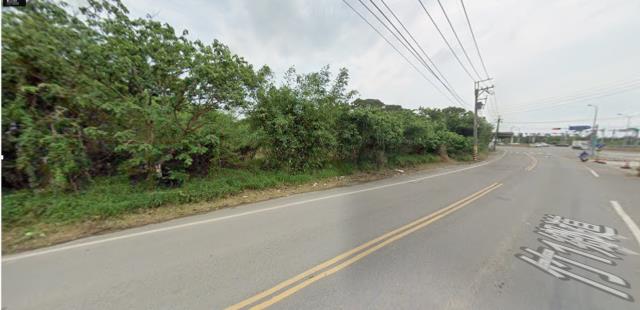 新竹法拍農地_山坡地-4