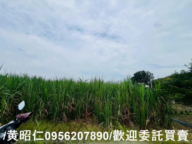 台南善化農地-10