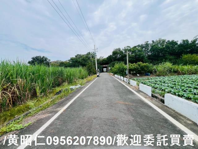 台南善化農地-2