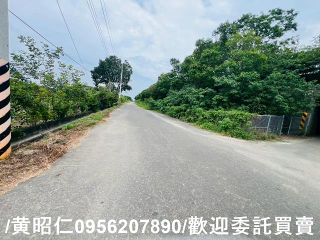 台南善化農地-5