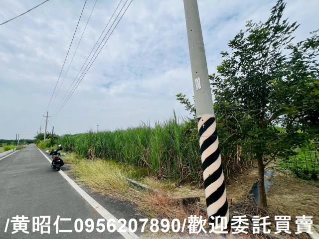 台南善化農地-6