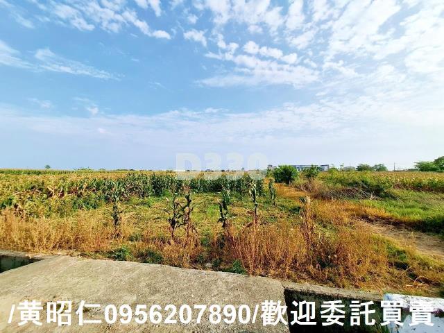 台南七股農地-0