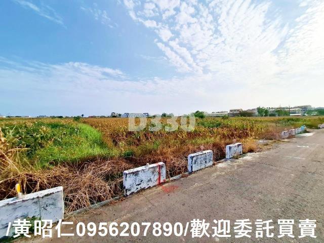 台南七股農地-6