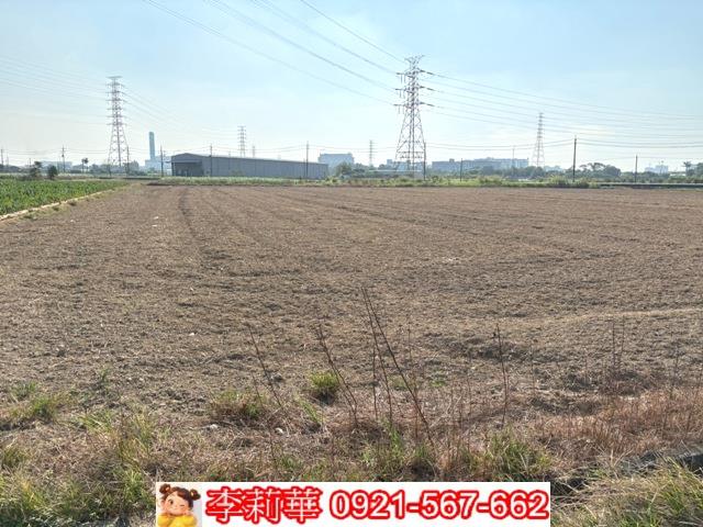 台南新化農地-9