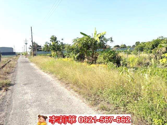 台南新化農地-6