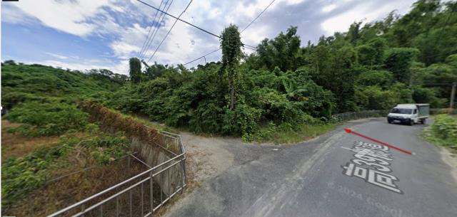高雄田寮法拍農地_山坡地-4