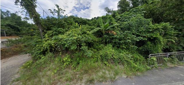 高雄田寮法拍農地_山坡地-9