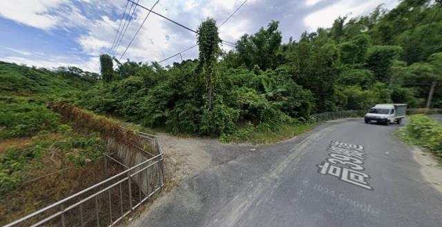 高雄田寮法拍農地_山坡地-4