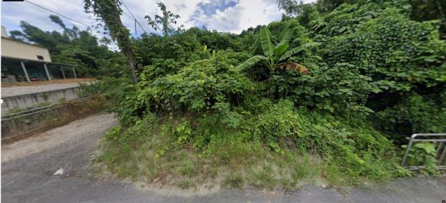 高雄田寮法拍農地_山坡地-8