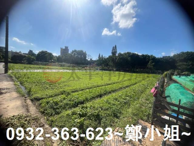 中壢農地-10
