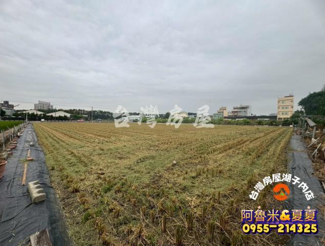 西區農地-6