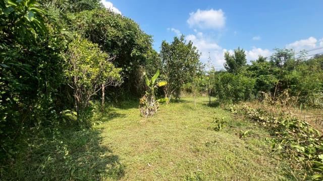 新竹交通用地-11