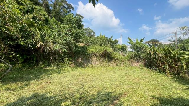 新竹交通用地-14