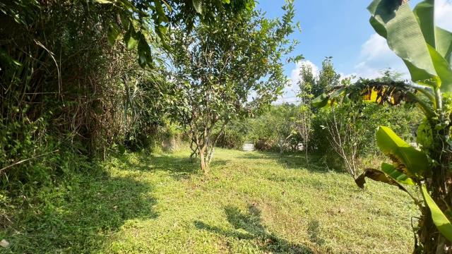 新竹交通用地-2