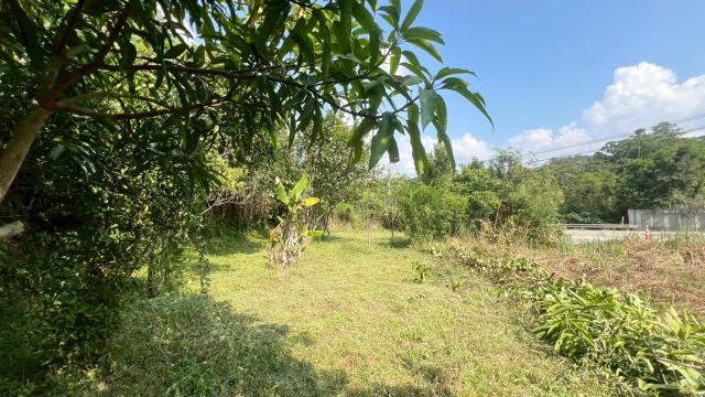 新竹交通用地-3