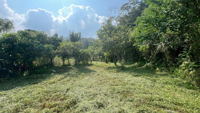 新竹交通用地-4