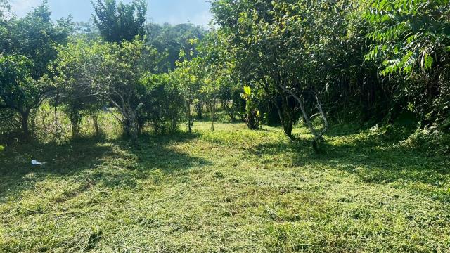 新竹交通用地-8