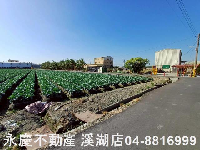 彰化埔鹽農地-10