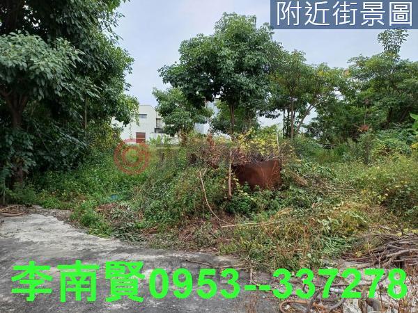 台南仁德工業地-3