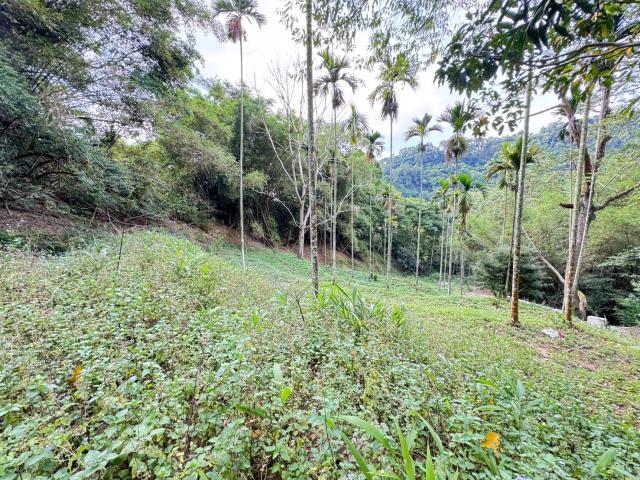 台中市東勢區中坑國小農地