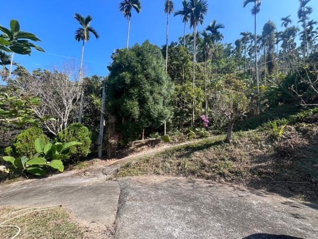 台中農地_山坡地-11