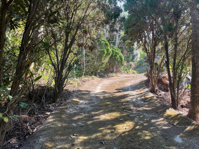 台中農地_山坡地-2