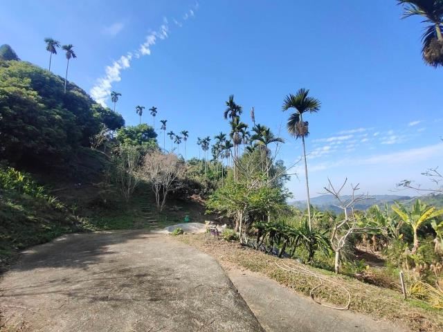 台中農地_山坡地-5