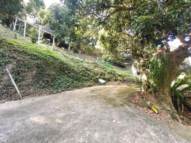 台中農地_山坡地-6