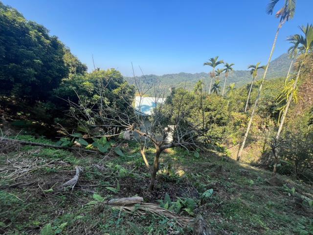 台中農地_山坡地-8