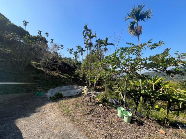 台中農地_山坡地-9