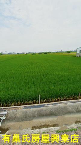 嘉義鹿草農地-3