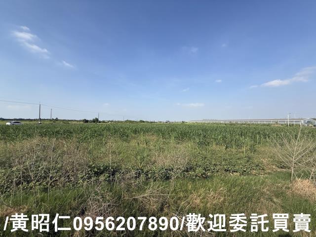 台南永康農地-3
